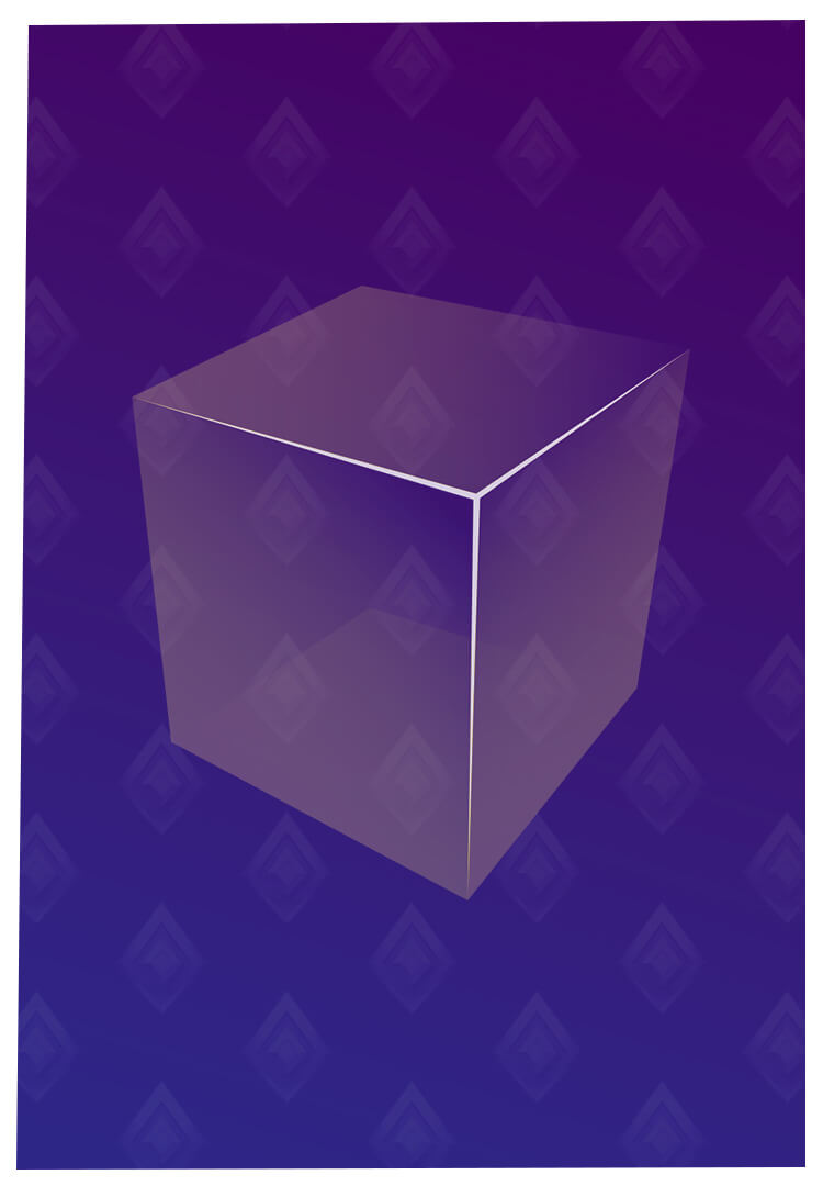 ARENA BOX FIGHT